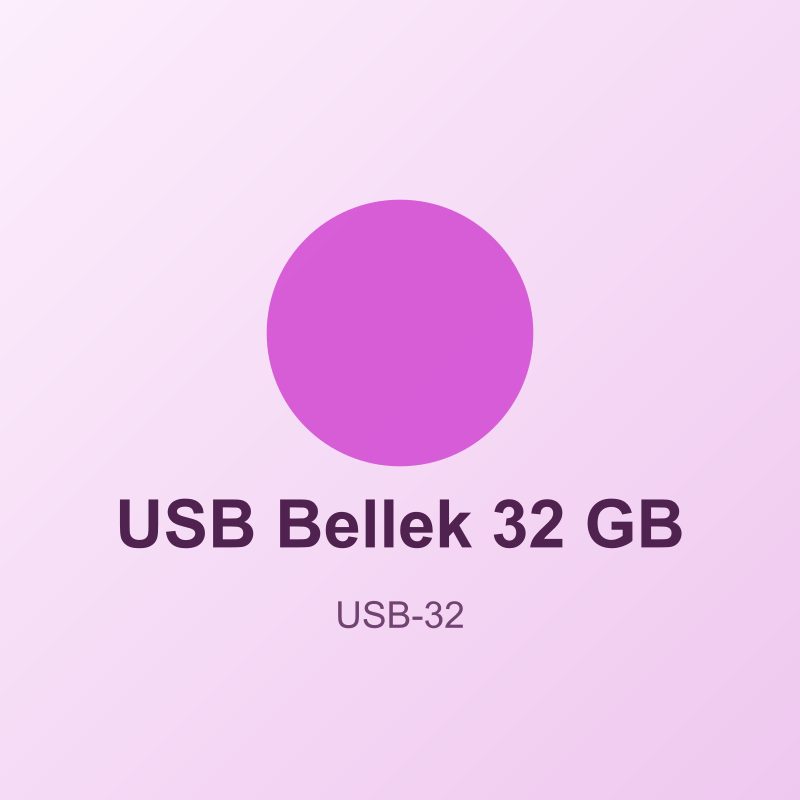 USB Bellek 32 GB - Logo Baskılı